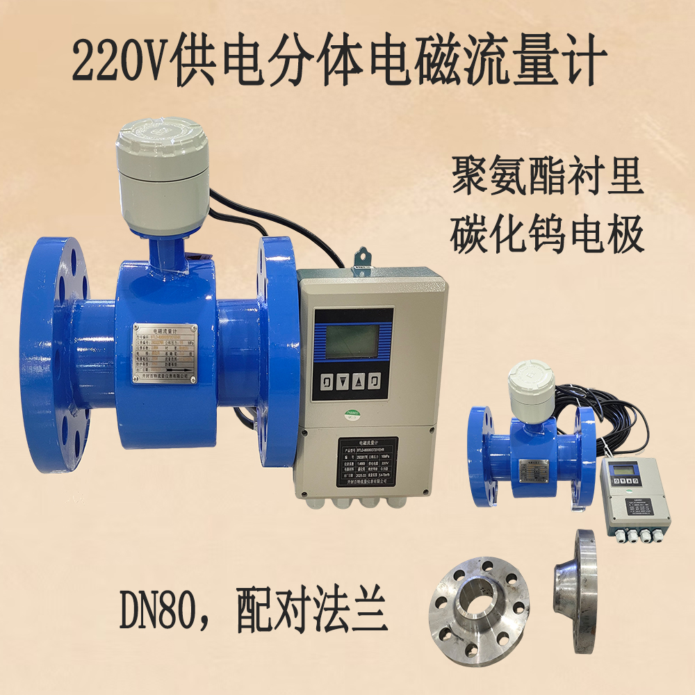 開封百特220V供電分體流量計，DN80，聚氨酯襯里，碳化鎢電極(含配對法蘭)   .jpg