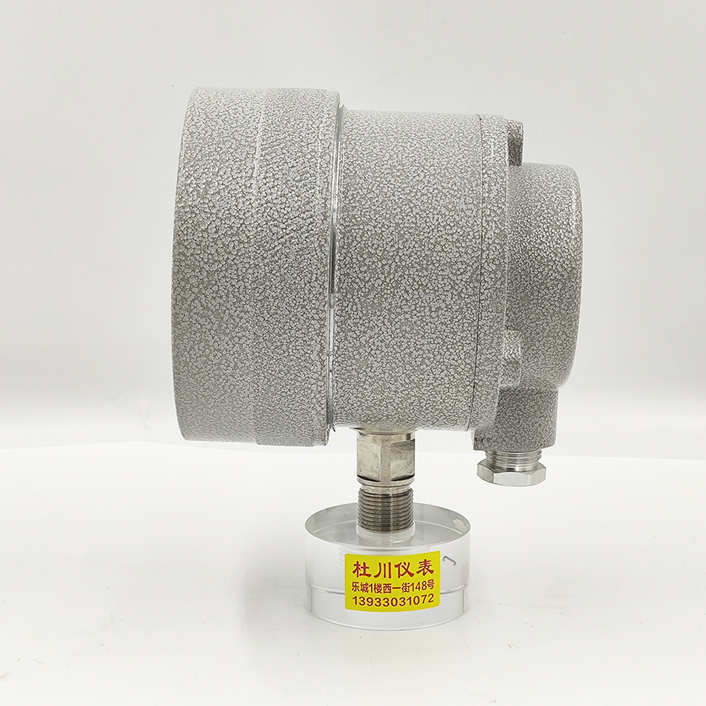 中表YTX-100B，-0.1-1.5MPa（2）.jpg