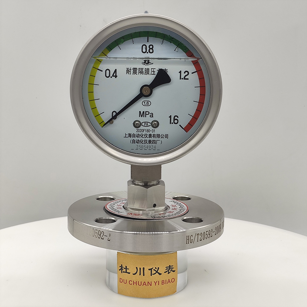 YNTP100BF法蘭DN25，膜片316L+PTFE（2）.jpg