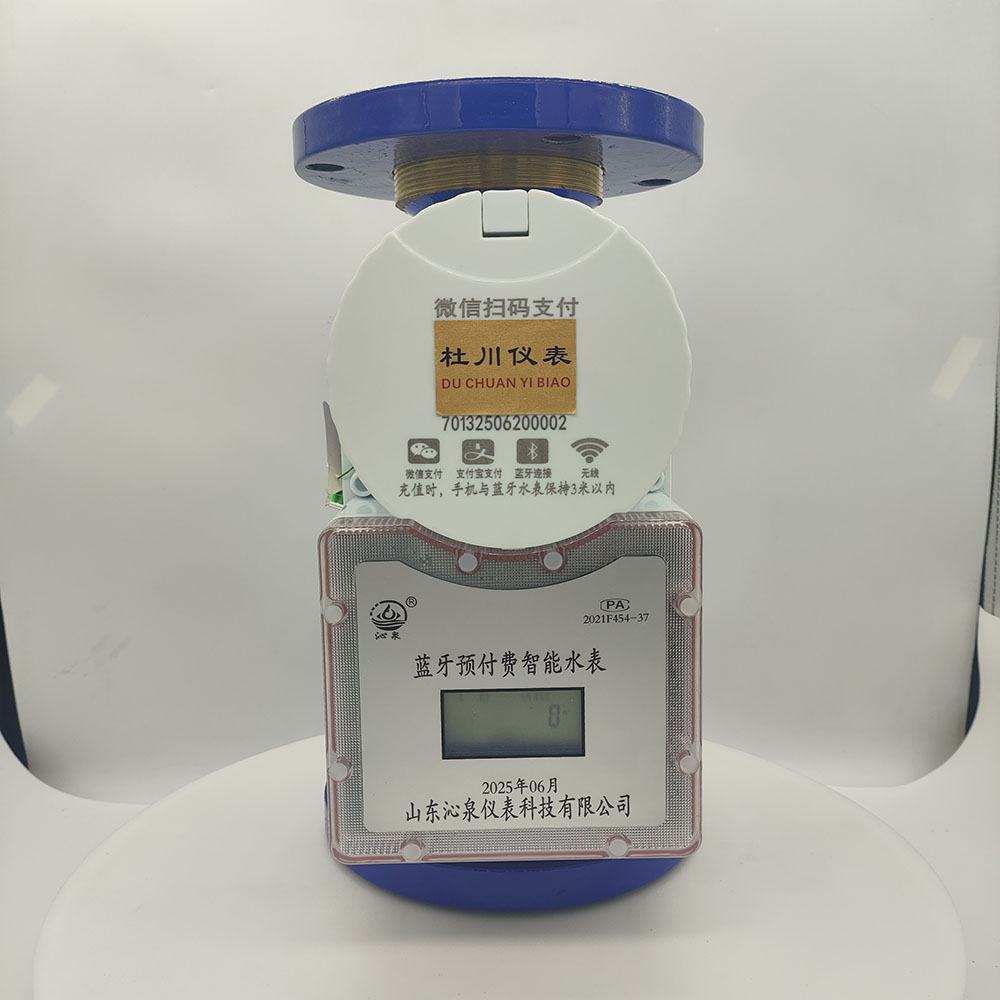沁泉藍(lán)牙預(yù)付費(fèi)智能水表，DN65，水平冷水.jpg