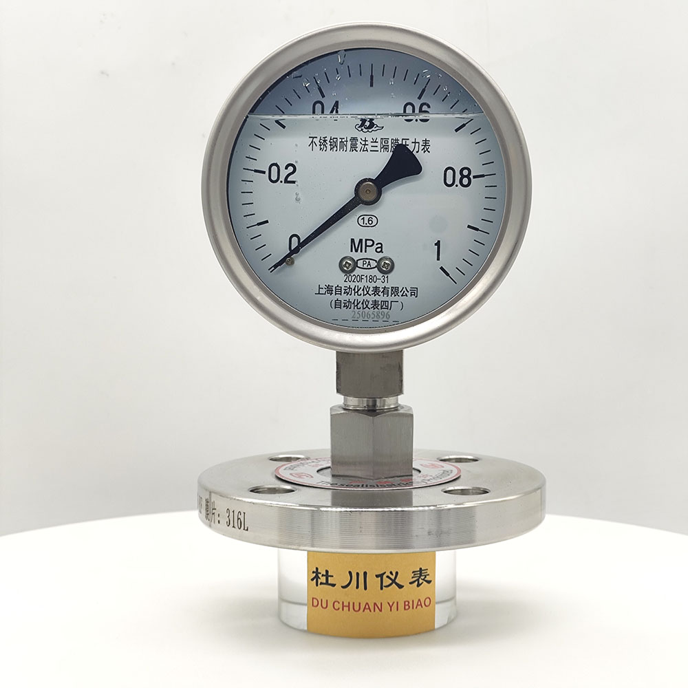 上海自動化YNTP100BF，DN25法蘭，1mpa.jpg